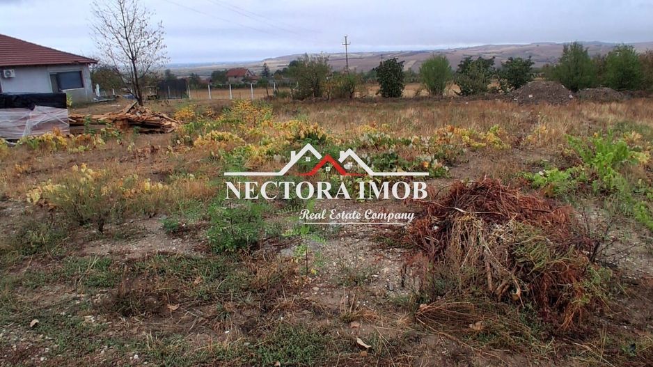 NECTORA IMOB-Teren Intravilan PALEU, 676 mp, Autorizatie Constructie - Poză 1
