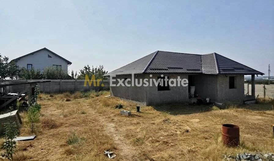 Casa la rosu în Plaiul Vulcănești - Poză 2