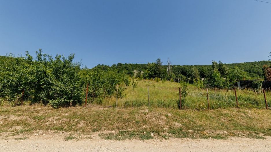 Teren intravilan Ștefănești Valea Mare Podgoria - Poză 4