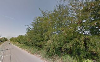 Teren intravilan Snagov pozitionat vizavi de centrul hipic Arcadia! - Poză 10