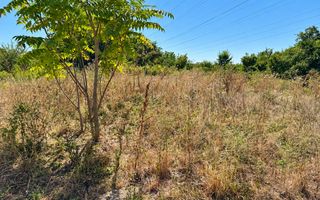 Teren 3.658 mp, deschidere la trei drumuri | Drumul Pogoanele - Poză 4
