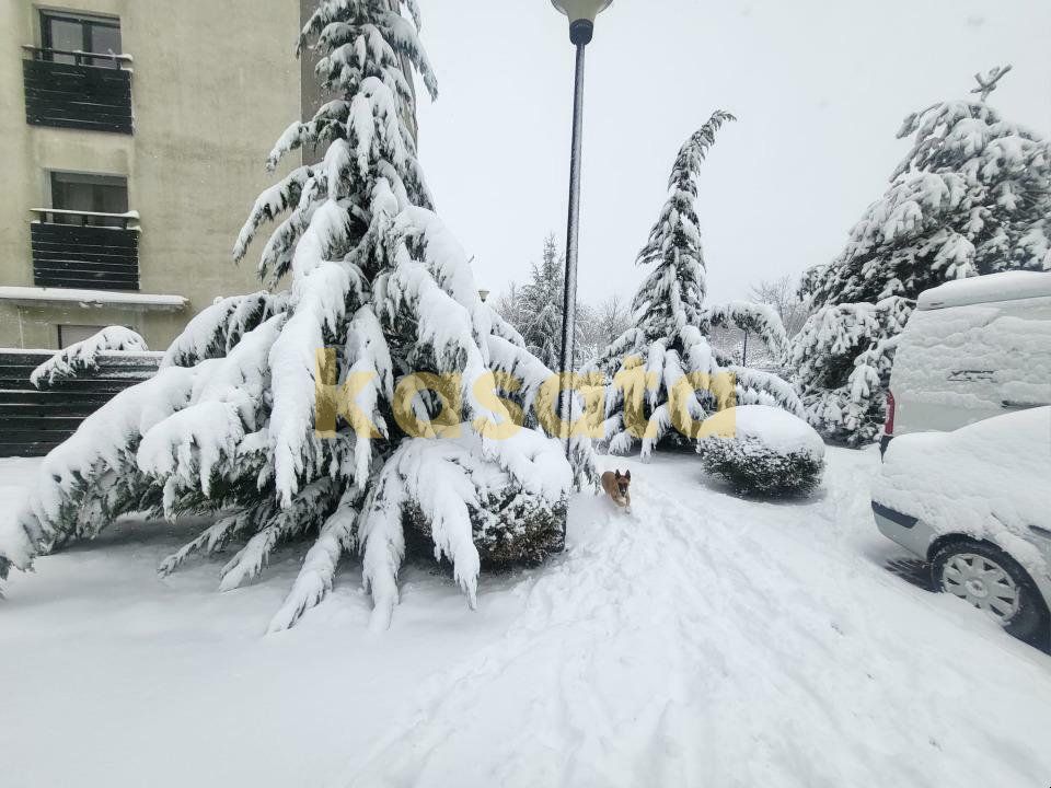 Apartament modern cu 3 camere | Natura Residence | Pipera - Poză 16