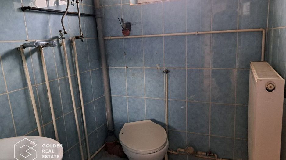 Casa mare cu 2 spatii comerciale, in Faget - Poză 16