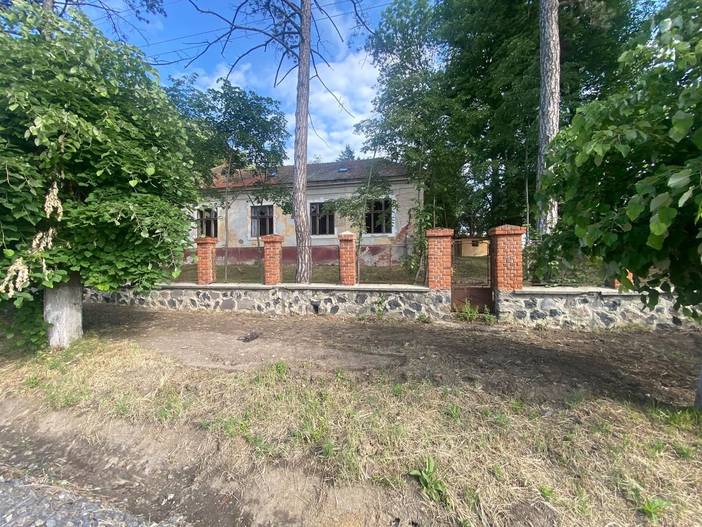 VILA DE VANZARE IN BALINT - Poză 2