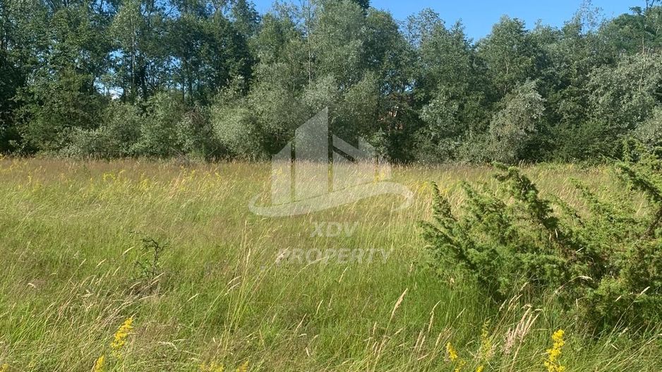 Teren in zona turistica Porumbacu de Sus - Poză 1