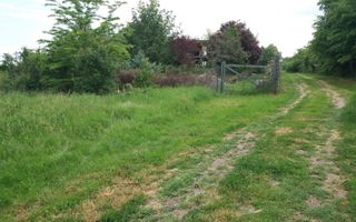 Teren Buftea cu iesire la lac - Poză 6