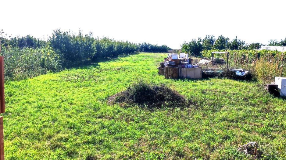 Casa Biharia - Poză 6