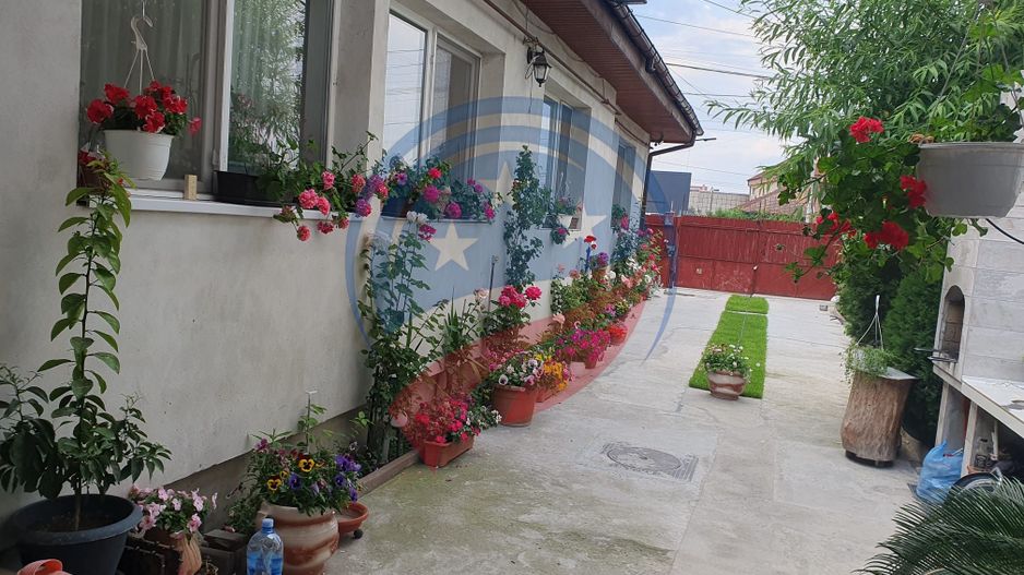 Casa de vanzare Campia Islaz - Poză 8