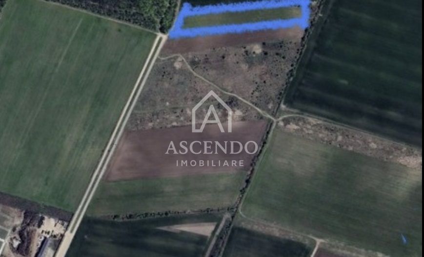 Teren 8.500 mp Corbeanca Ostratu | Lângă Pădure | 30 €/mp - Poză 1