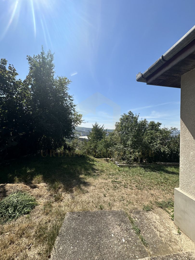 Vanzare teren 2387 mp, front 17,3 ml, Serpuitoare , Gruia - Poză 8