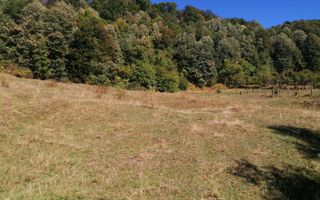 Teren Extravilan 20.000Mp I Stoenești -Vâlcea I Apă Curentă și Pădure - Poză 11