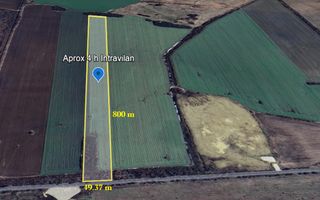 Teren intravilan – Crevedia – 62 de parcele – Acces din DN1A - Poză 1