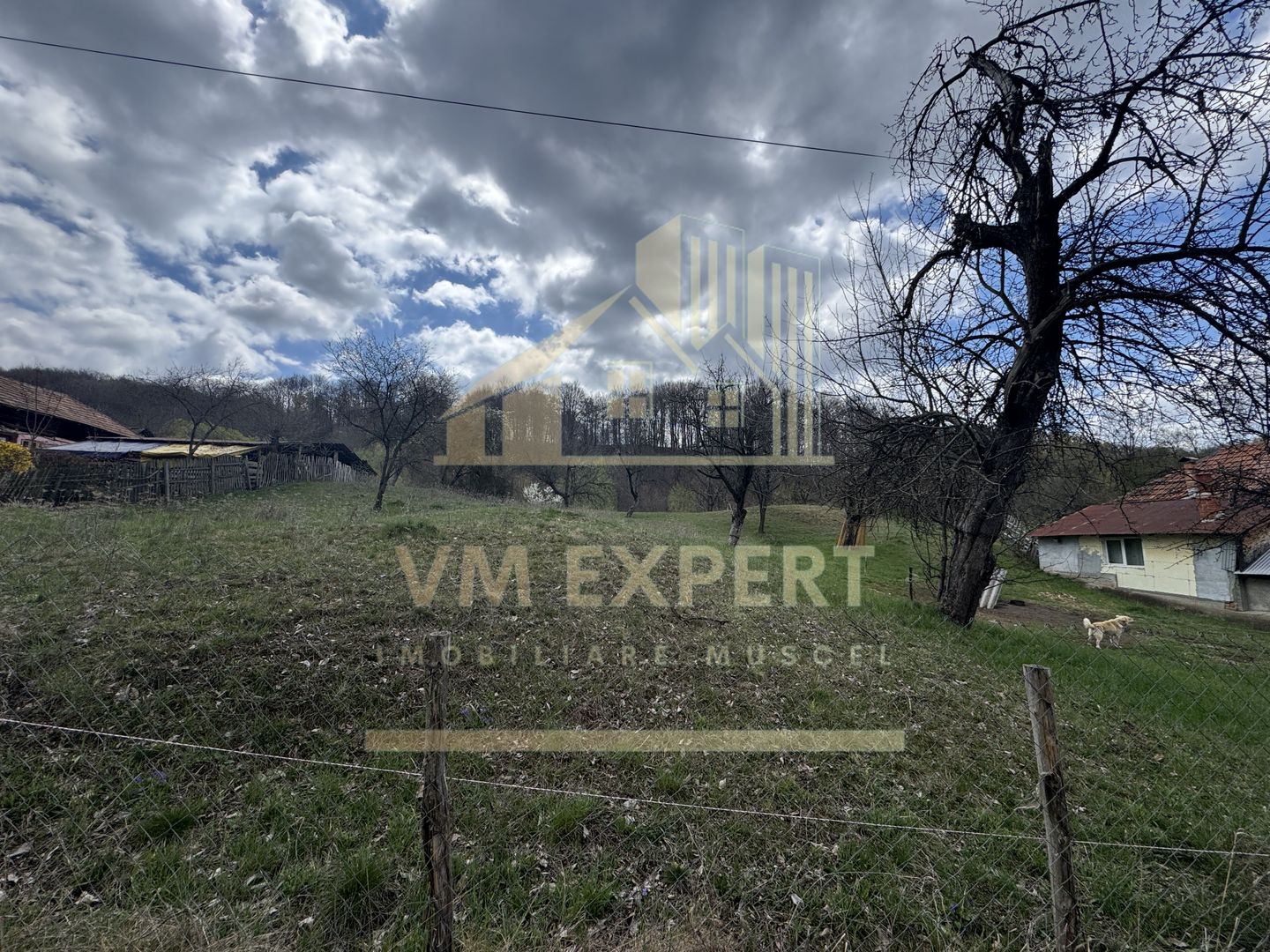 TEREN INTRAVILAN 4365 MP POENARII DE MUȘCEL  JUDEȚUL ARGES - Poză 7