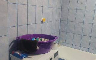 Apartament de vanzare 2 camere Calea Mosilor 290 - Poză 8