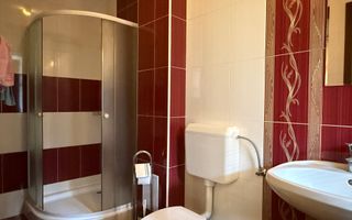 Proprietate premium de închiriat | Sanmartin | Bihor - Poză 7