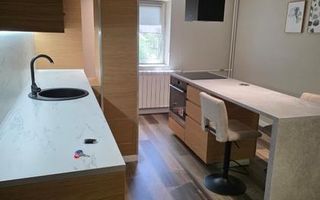 Apartament 2 Camere Lux Aviatiei Herastrau - Poză 6