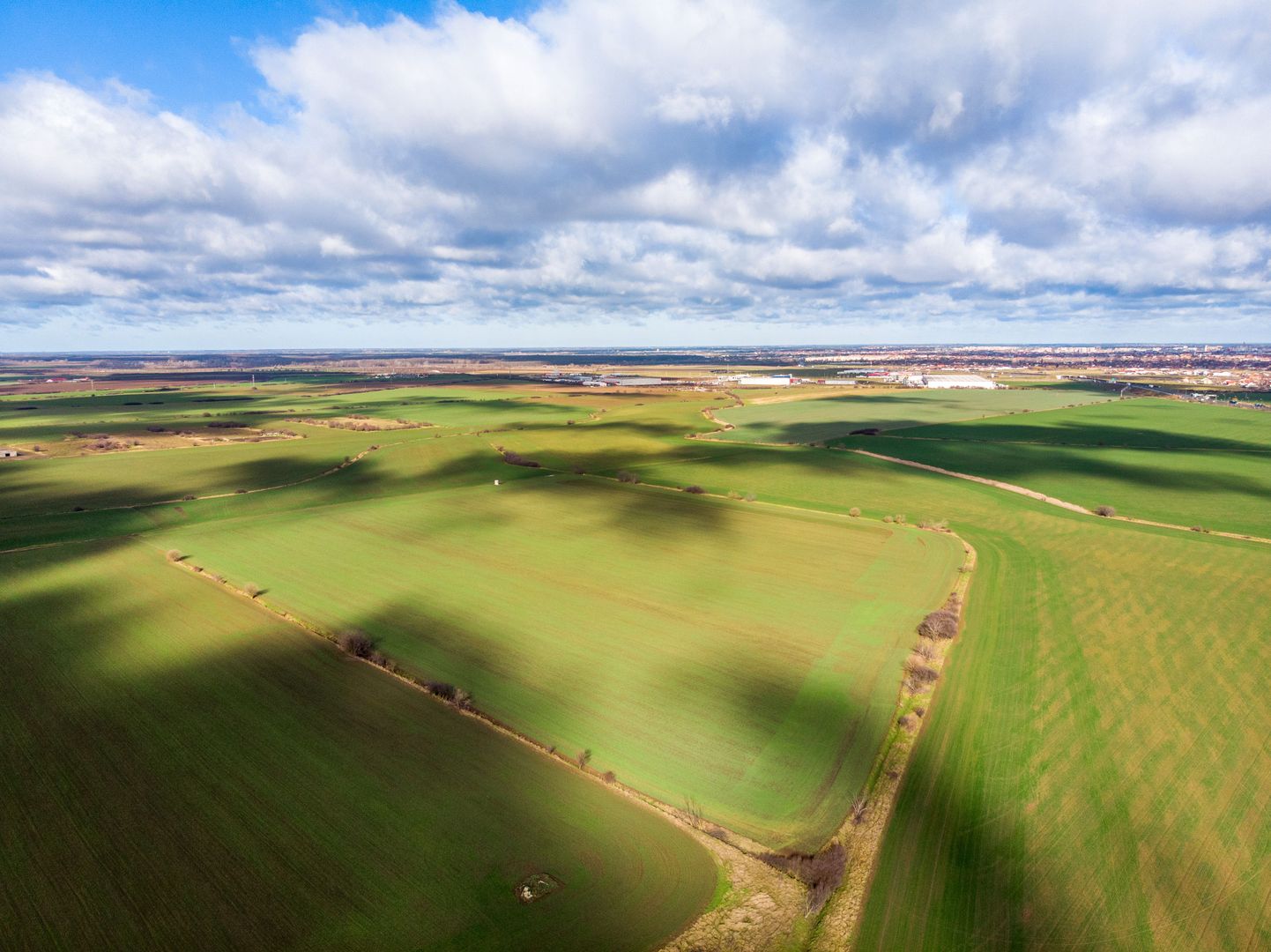 Teren de 49000 mp în Arad - Poză 5