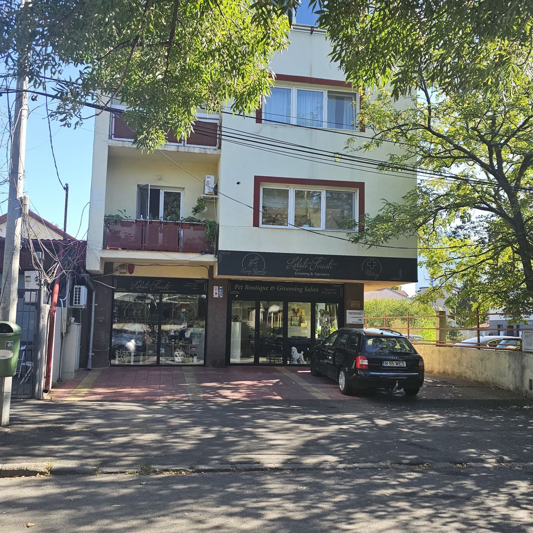 OCAZIE Spatiu Comercial Herastrau/Aviatiei - Poză 2