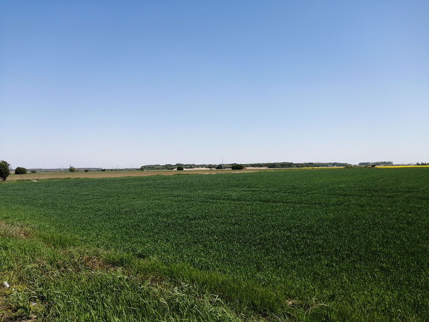 Teren intravilan 5114 mp in comuna 1 Decembrie - Ilfov - Poză 1