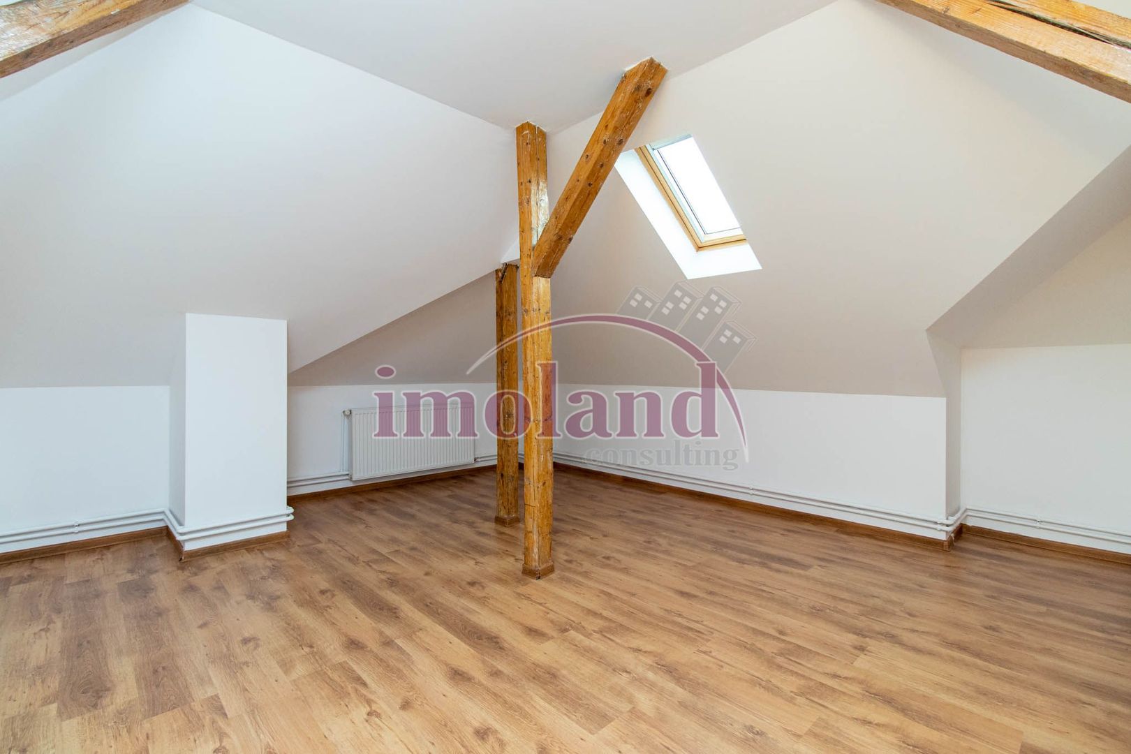 Inchiriere - Rezidenta/Birouri - Vila cu curte - Aviatorilor - Poză 27