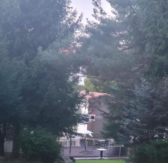 Vila deosebita pe malul lacului Snagov - Poză 3