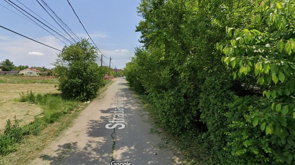 Izvorani | Deschidere la Lacul Snagov | Aparare de mal - Poză 6