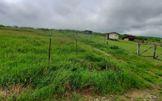 🌳TEREN INTRAVILAN CHIPEREȘTI 440 MP - 12.000 EURO 🏡 - Poză 9