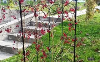 VILA DE VANZARE, CAMPULUNG, ZONA MARCUS, 150 MP, TEREN 1843 MP - Poză 10