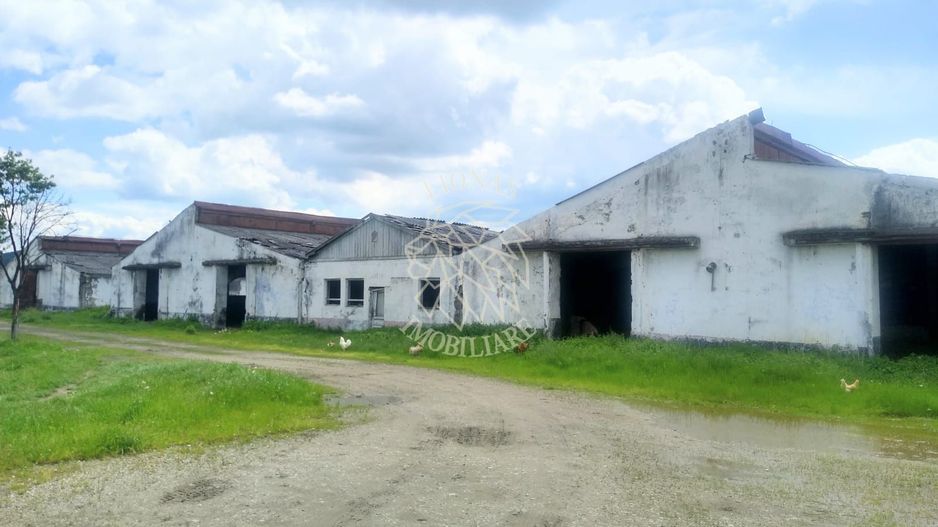 HALE 6500 mp- Oportunitate Fond Europene- 500 ari si lac- Sieu Odorhei - Poză 1