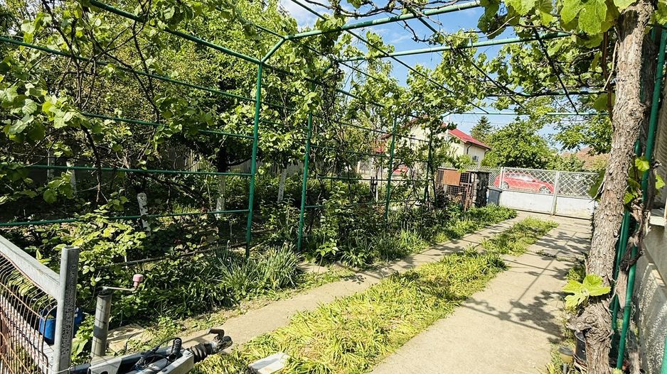 Ciarda Roșie / Buziașului | Front 27 ml | Teren 1464 mp | Utilități - Poză 3