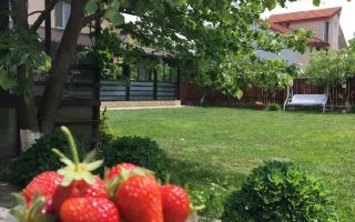 # Casă renovată 2024, panouri solare, teren 2100 mp, Lunca Cetatuii. - Poză 6