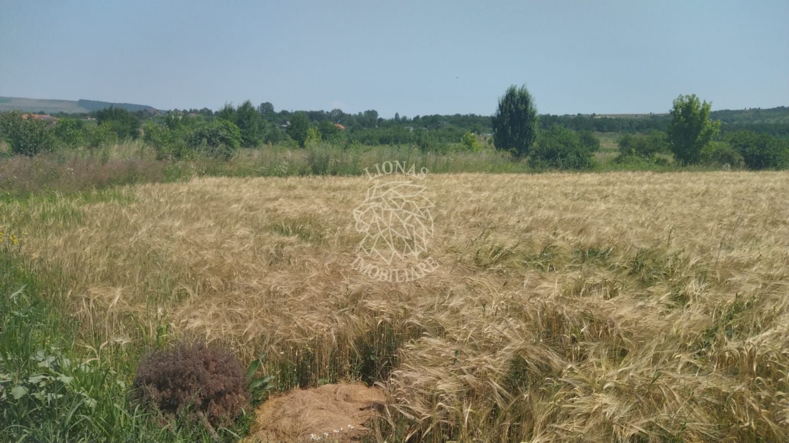 Teren intravilan 446 mp-ideal casa-panoramic-Zona Sopor - Poză 1