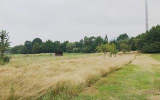 Teren 20 arii extravilan, strada Vrancei - Poză 2