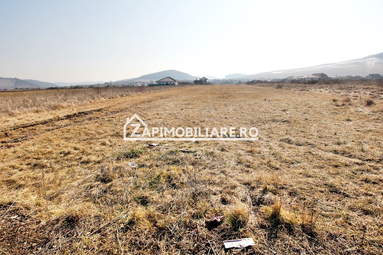 Teren  Intravilan 2.075 mp. 59.euro mp.Sangeorgiu de Mures - Poză 5
