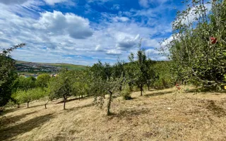 Casă individuală cu teren generos și panoramă Chinteni - Poză 21