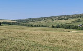 Casa individuala - 684 mp teren, Marpod - Poză 10