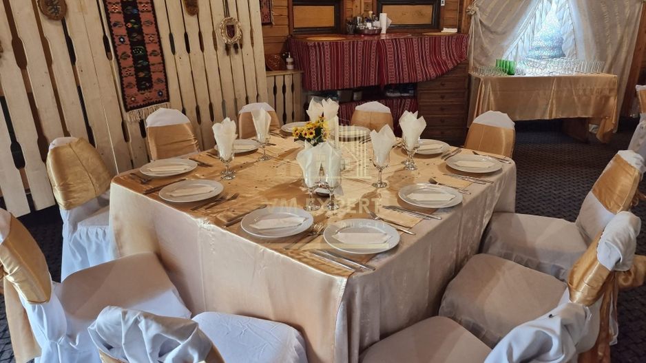 VILA - PENSIUNE CU RESTAURANT + SI TEREN 6406 MP, VALEA MARE PRAVAT, - Poză 18