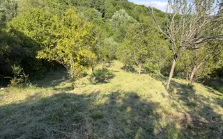 TEREN 3200 MP GODENI ARGEȘ - Poză 21