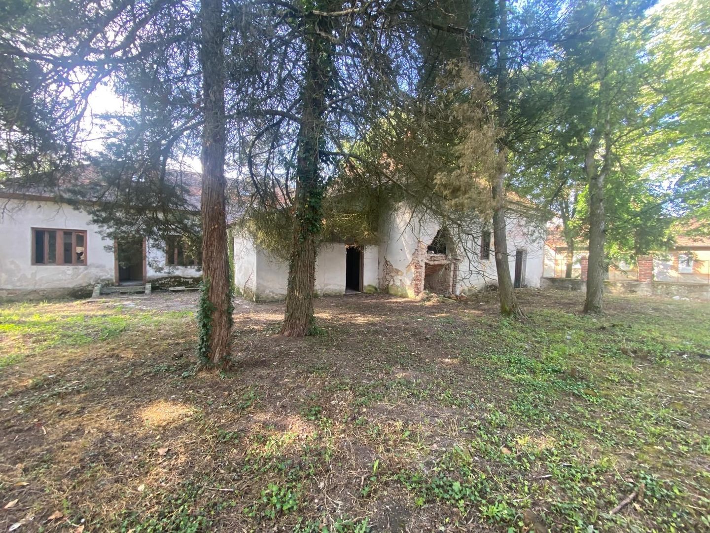 VILA DE VANZARE IN BALINT - Poză 5