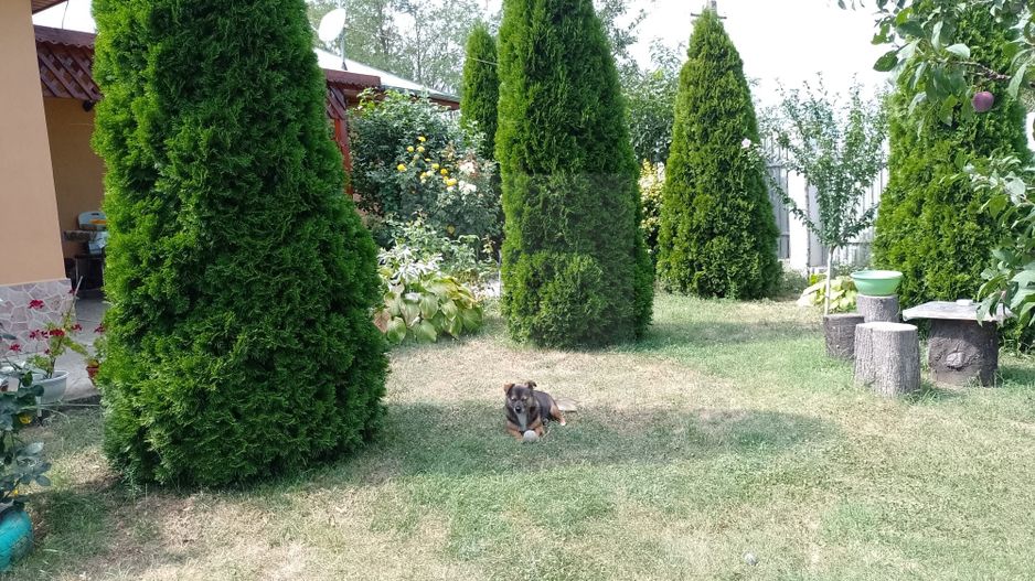 Casă de vacanță modernă cu teren generos –15min de Tecuci - Poză 24