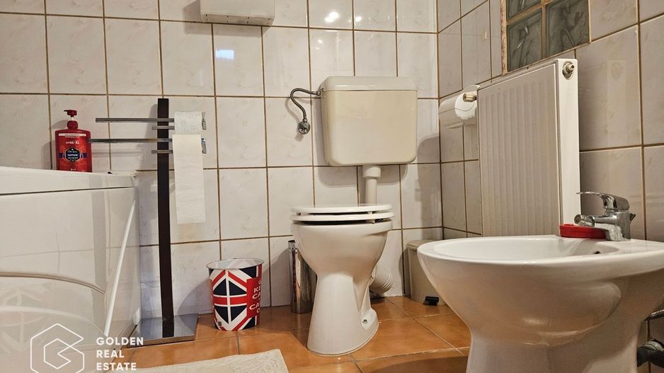 Vila individuala, centrala situata intre Dudesti si Dristor, 5 camere - Poză 13