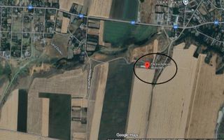 De vanzare ferma de gaini ouatoare in sistem free-range | 45.000 mp teren - Poză 8