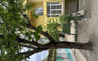 Vila de închiriat zona Tineretului - Poză 1
