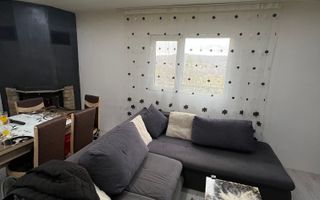 Două case individuale de vânzare în Teliuc –ideale pentru două familii - Poză 16