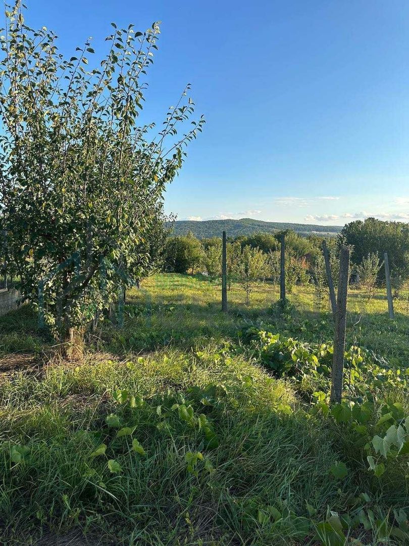 Teren intravilan de vânzare în centrul comunei Bârnova, Iași - Poză 3