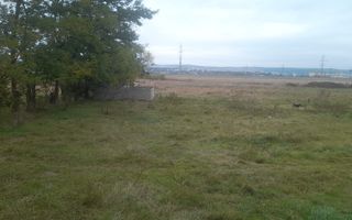 TEREN EXTRAVILAN 7.600 mp, VASLUI - zona REDIU; - Poză 2