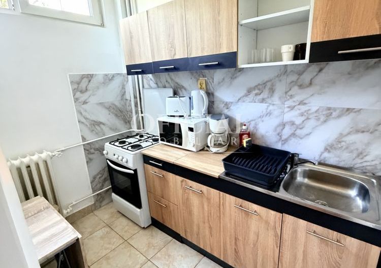 Apartament 1 Camera | PET FRIENDLY | 32 Mp | Gheorgheni Detunata - Poză 3