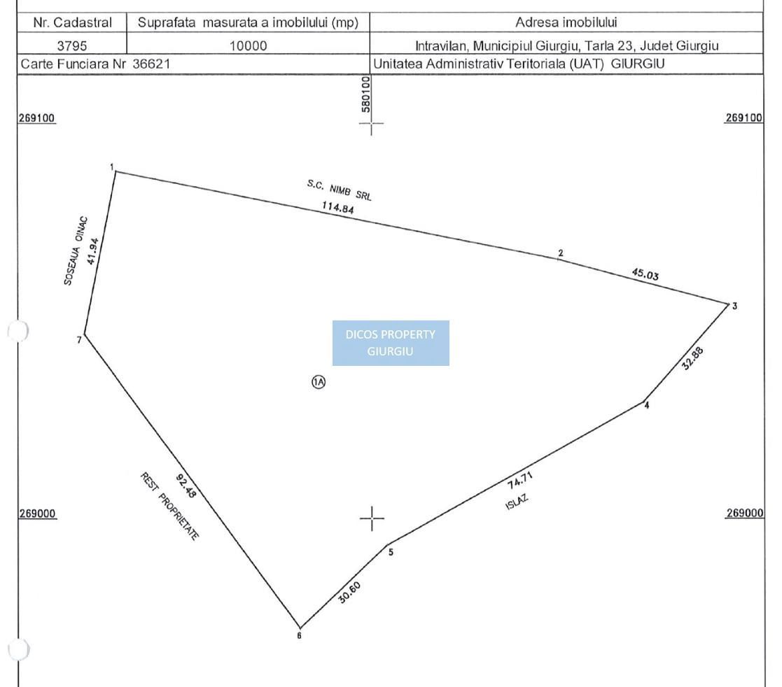 Terenuri intravilane de vânzare în proximitatea Vămii Giurgiu - Poză 2