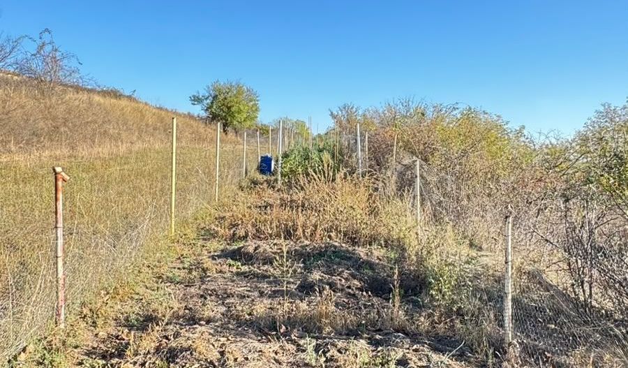 🏡 DE VÂNZARE CABANĂ ÎN BĂRĂBANȚ – PREȚ IMBATABIL! - Poză 7