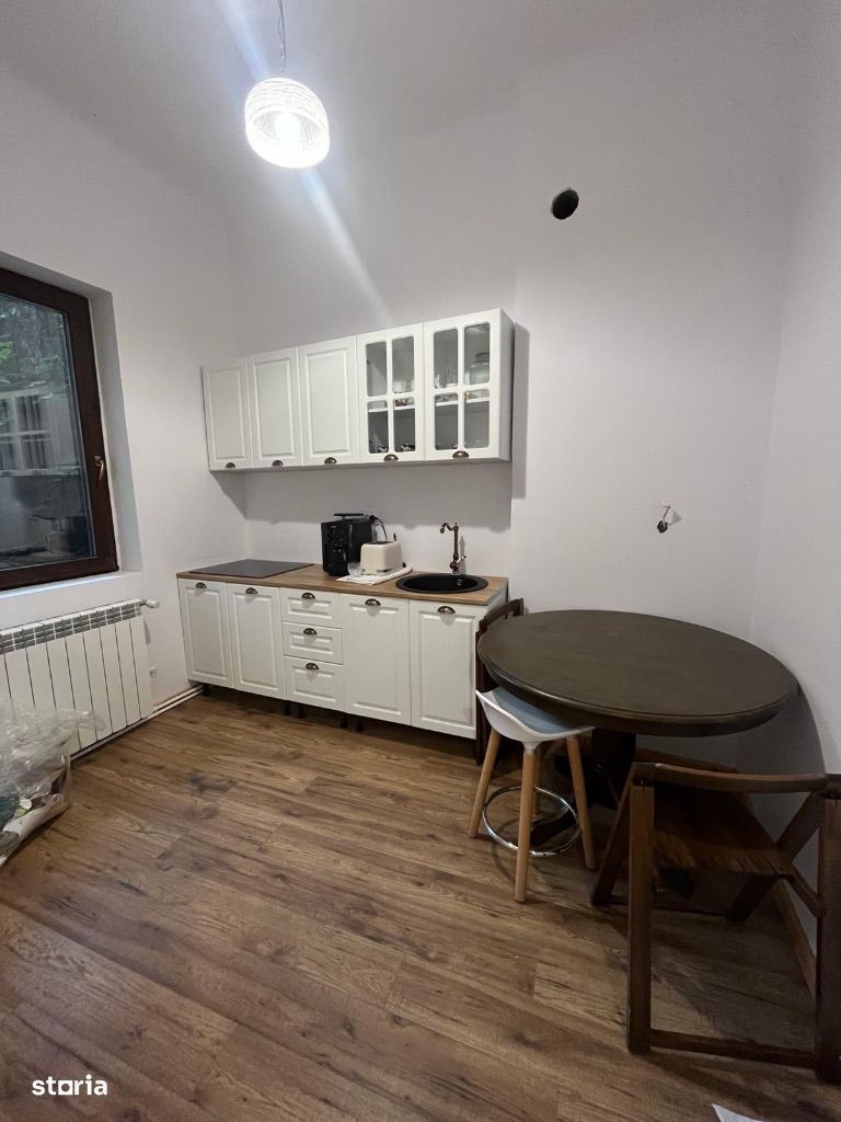 Vila  Centrul Bucurestiului - Parcul Carol - Poză 15